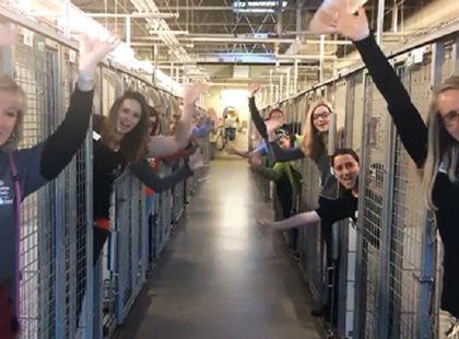 A legboldogabb nap az állatmenhelyen, hisz minden kennel üres!