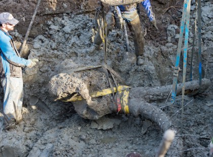 Egy farmer éppen a földjén dolgozott, amikor észrevett valamit a sárban. Ezután elkezdett ásni. Mit talált? Azta!