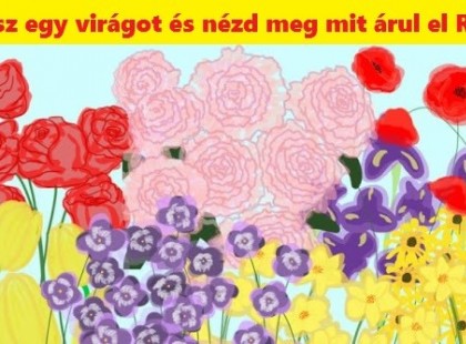 „Aki a virágot szereti, rossz ember nem lehet!” Vagy mégis? - Válassz egy virágot és nézd meg mit árul el rólad!