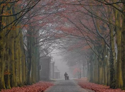 AMELYIK HÓNAPBAN SZÜLETTÉL, OLYAN AZ ÉLETUTAD! ÉRDEMES MEGISMERNED!