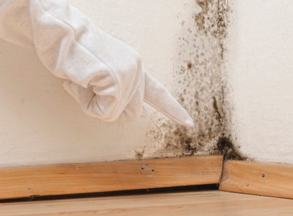 Tedd ezt a sarokba, többé nem jön elő a penész! Nálunk évek óta bevált!