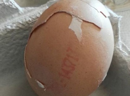 Figyelem! Erre varrjon valaki gombot!