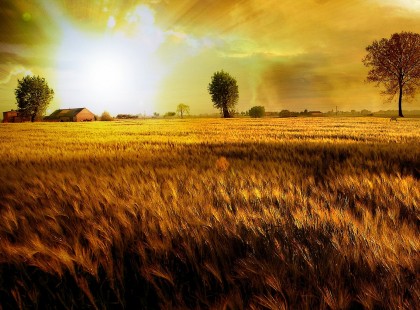 A 7 legjobb bőségmantra - oszd meg ,és bevonzod a kívánságodat