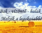 Bak - vízöntő - halak !Melyik a legokosabb? Csillagjegyek intelligenciája! Miben vagy jó?