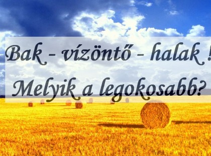 Bak - vízöntő - halak !Melyik a legokosabb? Csillagjegyek intelligenciája! Miben vagy jó?