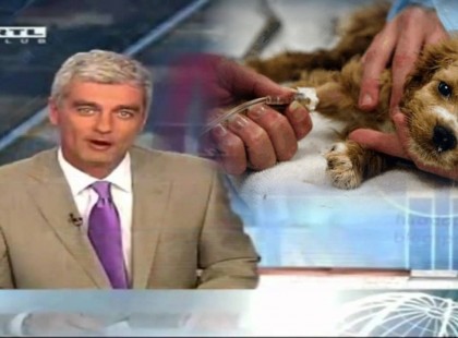 Kutyások figyelem! Nagyon sok kutya betegedhet meg a következő hetekben!