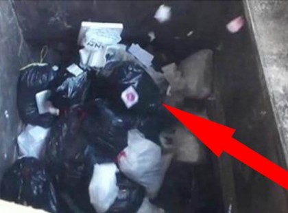 A kukás már be akarja darálni a zsákokat – hirtelen a szemét közül két szomorú szem néz rá