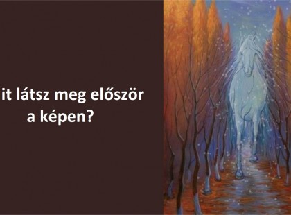 Mi vár rád a jövőben? - Ez a képes teszt felfedi a titkot!