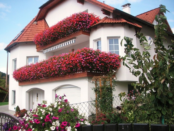 bad_schonau_blumen_haus.jpg (2560×1920)