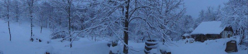 Wöller-Szavai Zsófi fényképe.