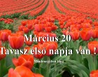 Március 20 Tavasz első napja van !
