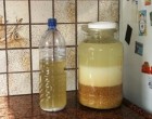 Korpacibere levesek savanyításához, erdélyi recept, amit öreganyámtól örököltem!