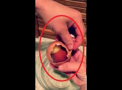 A gazdát meglepi amit a titokzatos tojásban talál -aztán kiönti azt egy tálkába