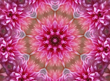 Az élet és virágzás mandalája - Add tovább