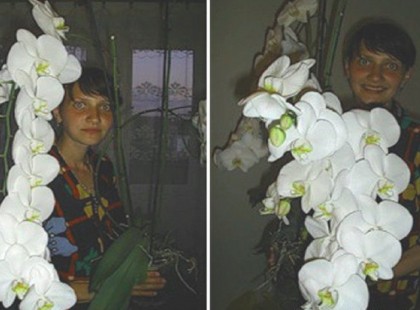 ÁTÜLTETTE AZ ORCHIDEÁT, AZ EREDMÉNY VALAMI EGÉSZEN ELKÉPESZTŐ!