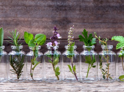 10 növény melyet vízben egész évben termeszthetsz a lakásban!