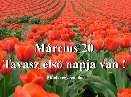 Március 20 Tavasz első napja van !