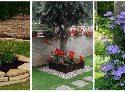 Ültess gyönyörű virágokat a kertbe, ezek a növények a fák köré is ültethetőek!