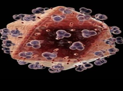 A rák meghal, ha ezt a 7 ételt minden nap fogyasztod!