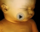 Ezt csinálják unalmukban a kisbabák az anyaméhben… (egyedi felvételek)!