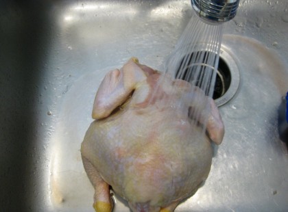 Egyetlen cseppje a csirke vizének kórházba juttathatja a családodat! Ezt mindenki olvassa el!