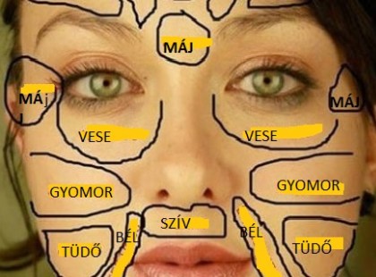 Ez az ősi arctérkép világosan jelzi, milyen betegség lappang benned, sőt a gyógyításban is segíthet