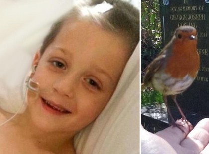 4 éves fia halála után az édesanya sírva fakad kisfia sírjánál… de ami a 00:21-ik másodpercnél történik, arra nincsenek szavak!