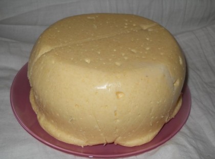 Érlelt sajt házilag, káprázatosan finom és jóval olcsóbb mint ha megvennéd!