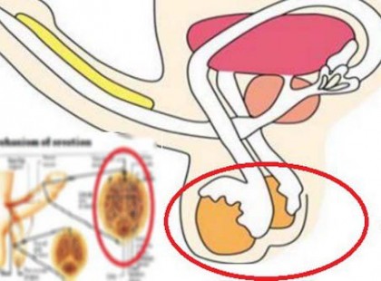 Jó ha tudod, hogy 10-ből 9 férfi potenciazavarát ezek okozhatják – De van megoldás!