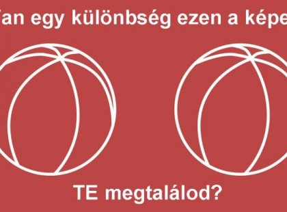 Egy TESZT azoknak, akiknek 135-nél magasabb az IQ-juk! Találd meg a különbséget a képen!