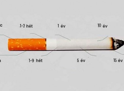 Tudd meg végre, hogy mi történik a testeddel, ha abbahagyod a dohányzást