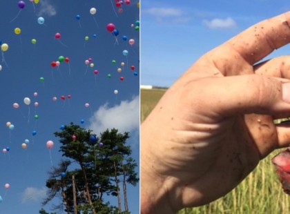 Szörnyű oka van: Ne engedj több lufit szabadon a levegőbe!
