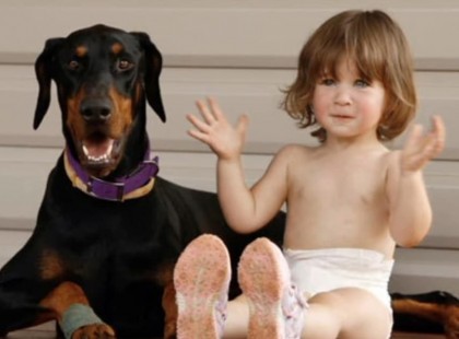 Ez az örökbefogadott kutya megharapja a család 17 hónapos gyerekét – a szülők megdöbbennek mikor megtudják miért
