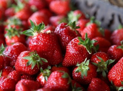 Szedd magad eperföldek 2017-es országos listája!