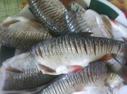 Megmutatom, hogyan süss szálka nélküli halat, így még a gyerekek is örömmel megeszik!