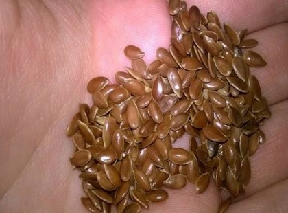 Mindenki a lenmagot ajánlja, erről a hatásáról azonban senki nem beszél!