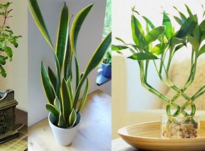 EGY FEDÉL ALATT A VÁMPÍROKKAL. VANNAK SZOBANÖVÉNYEK, AMIK SZINTE KIFACSARNAK TÉGED