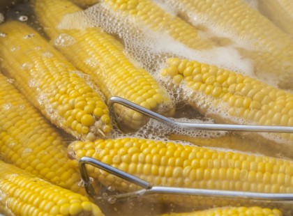 Sokan rosszul csinálják: Így főzd istenire a kukoricát