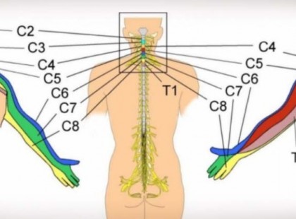 Tudod miért zsibbadnak a kezeink? 7 ok, ami rávesz arra, hogy az egészségeddel foglalkozz