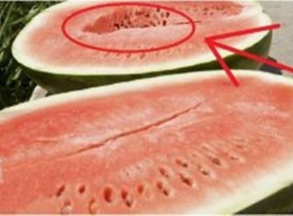 Messzire kerüld az ilyen görögdinnyét! Nagyon messzire!