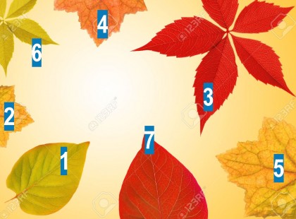 Válassz egy levelet és nyisd ki! – Megtudhatod milyen csodák várnak rád!