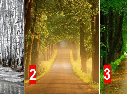 Válassz egy ösvényt és nézd meg mit hoz a jövő!