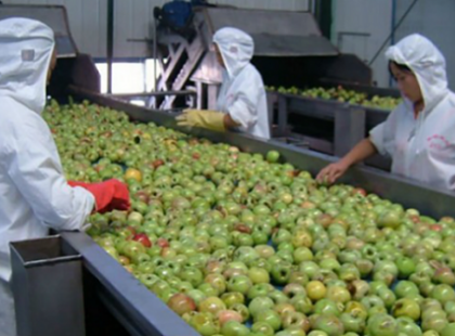 Ezeket a műanyag ételeket Kínából hozzák neked! Messziről kerüld el ezt a 10 mérgező műanyag ételt