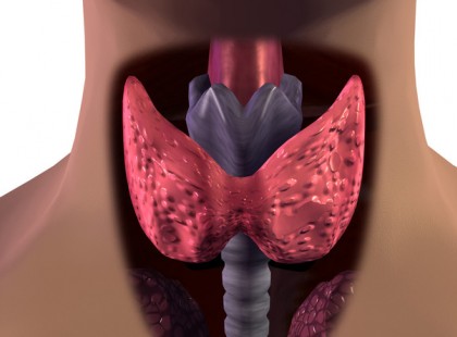 Íme a híres tibeti gyakorlat, ami segít, hogy megszabadulj a pajzsmirigy problémáktól
