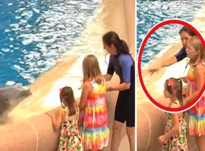 Ez a 2 lány épp a delfinekkel játszik, amikor hirtelen azt mondja nekik az oktató, hogy távozzanak azonnal. Az ok hihetetlen!