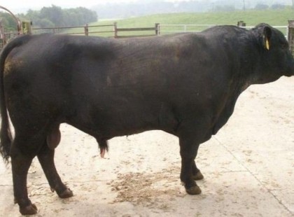 KISZÁLL A NAV A TANYÁRA, ELLENŐRZÉSRE. A GAZDA AZTÁN OLYAT MUTAT NEKIK, AMIT MÁIG NEM TUDNAK FELDOLGOZNI!