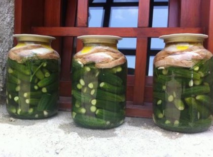 Igazi magyar “gyógyszer” a kovászos uborka, mégsem fogyasztjuk rendszeresen!