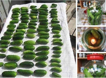 Így tartósítsd az uborkát, hogy hónapokig roppanós legyen! Remek módszer!