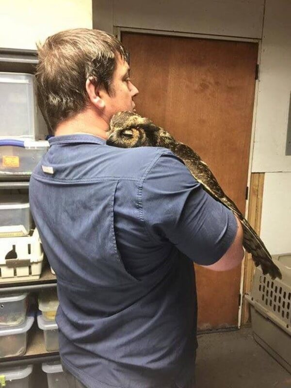 Wild at Heart Rescue