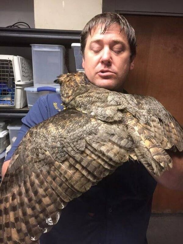 Wild at Heart Rescue